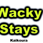 Wacky Stays Logo written in yellow