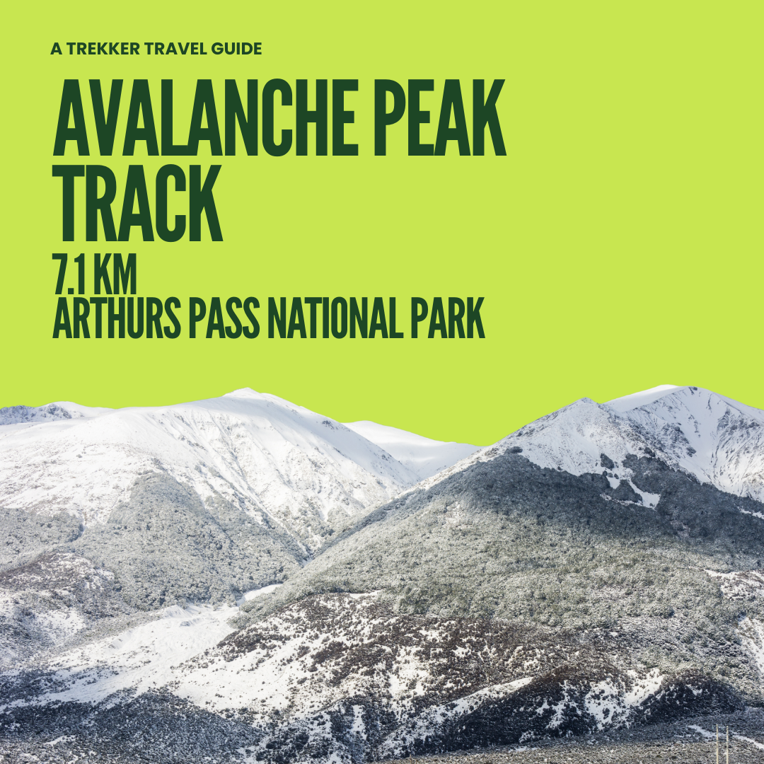 Avalanche Peak Track